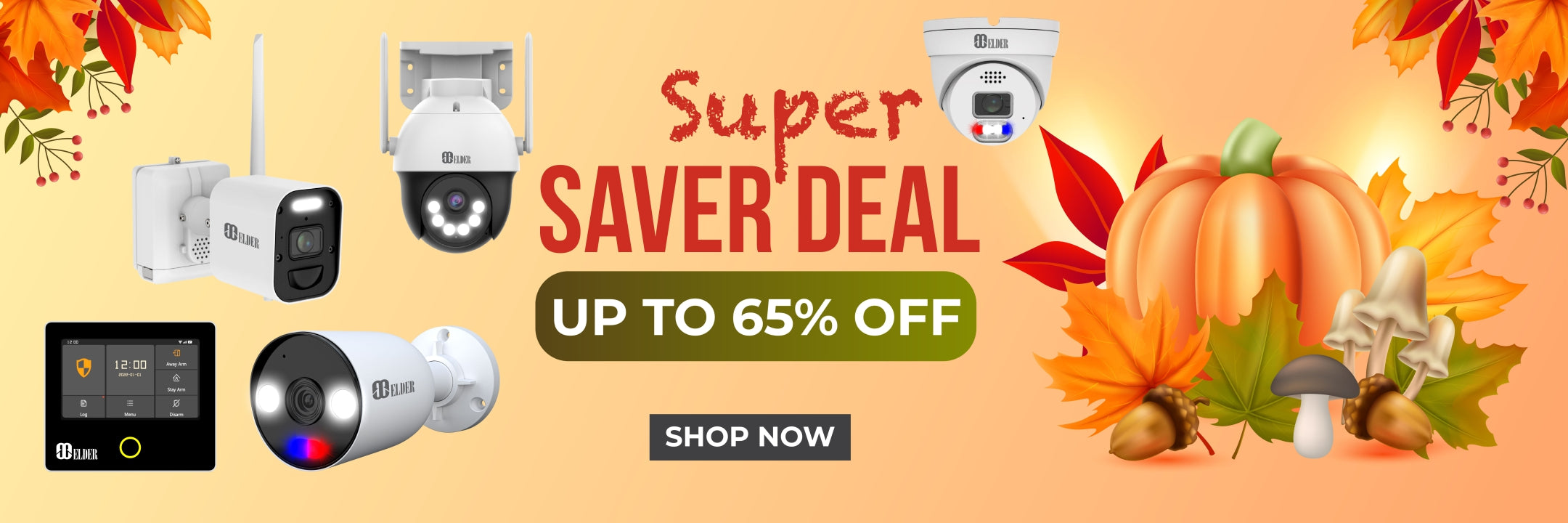 Super Saver Deal on Security Camera Systems and Home Alarm Systems. Big Sales Security Systems for Home and Business. 