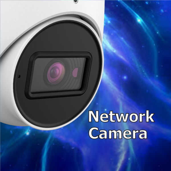 IP security cameras and PoE surveillance.