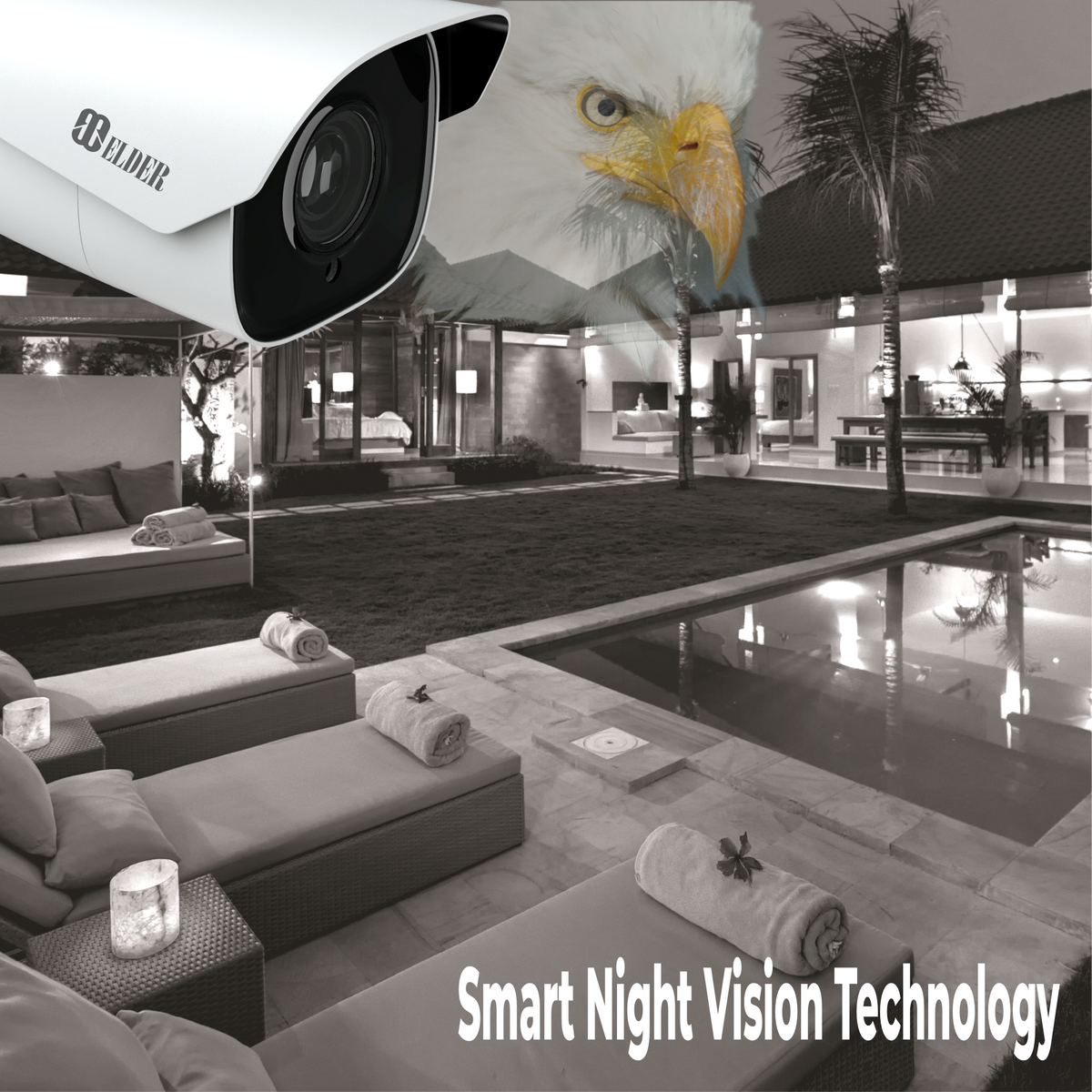 LPR Security Camera ANPR Surveillance PoE Outdoor, License Plate Recog